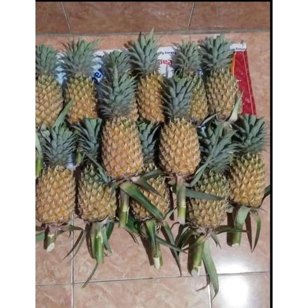 

buah nanas segar dngn rasa yg manis dan renyah 1paket 2buah