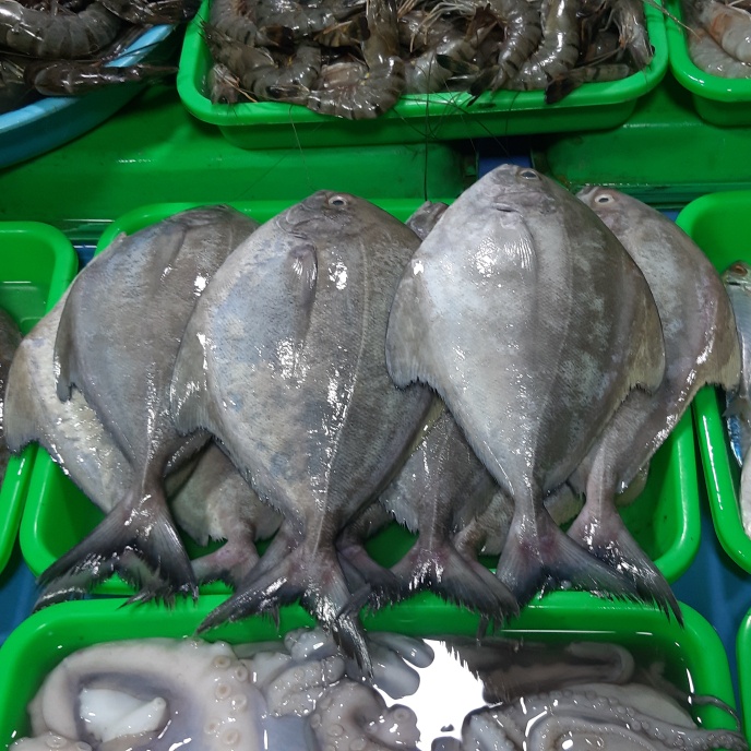 

Ikan bawal laut 1kg (1000g)