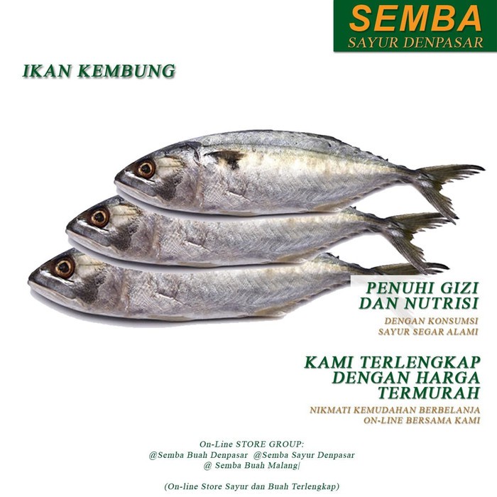 

IKAN KEMBUNG seafood 1KG DENPASAR BALI sembako bumbu dapur lauk buah food bahan makanan murah fresh