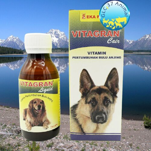 Vitagran  Vita Gran Pencegah Rontok Bulu Penumbuh Bulu Anjing Pencegah Penyakit Kulit