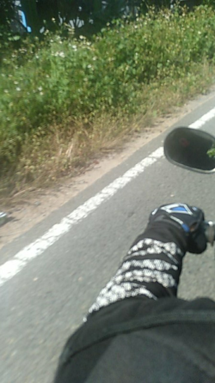 Kemeja Batik Pria Lengan Pendek Motif Anjani Gold