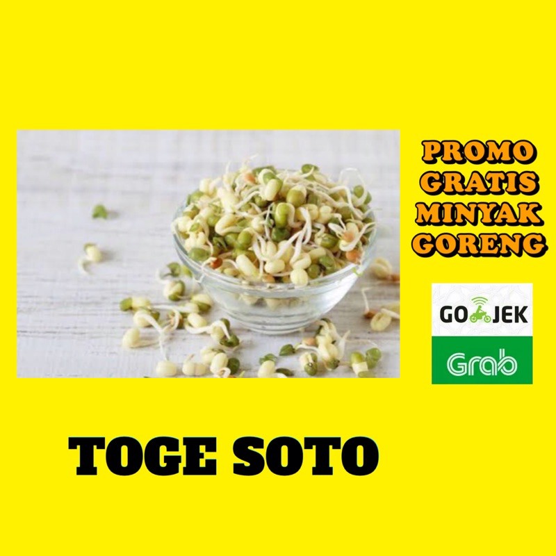 

TOGE SOTO