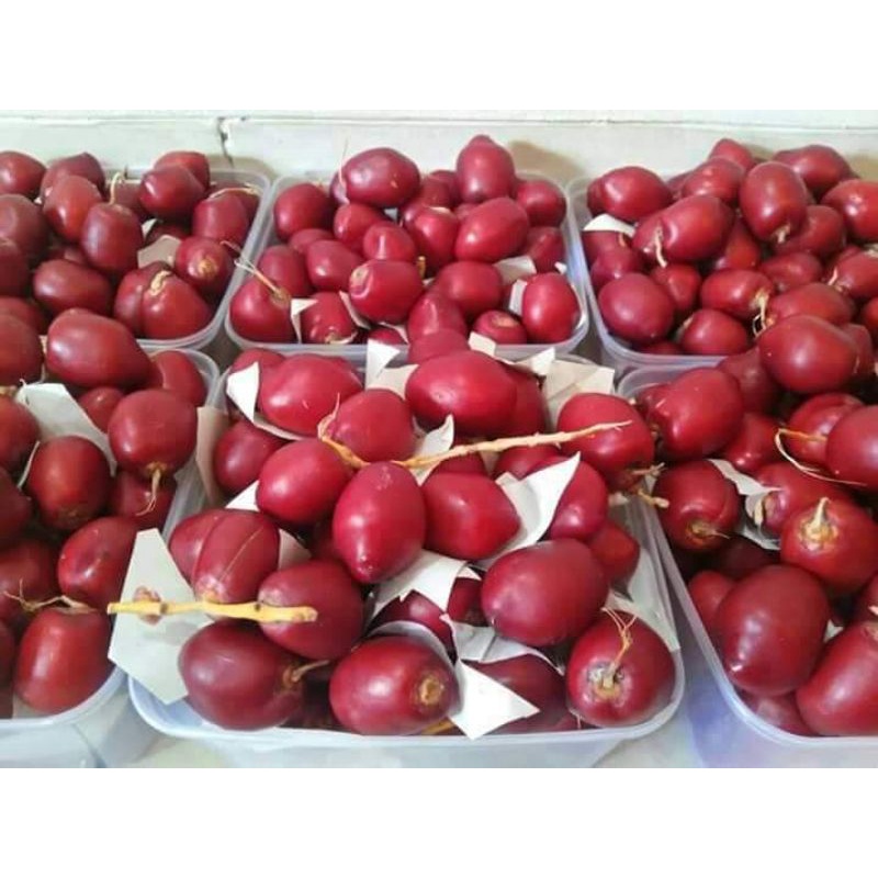

KURMA MUDA MERAH 1Kg +Bonus zuriat FRESH SEGAR || PROMIL MARYAM FRESH READY RUTHAB/BARHI