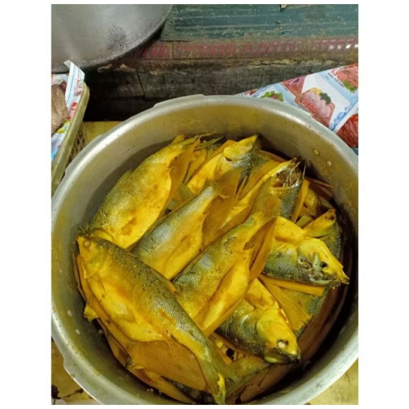 

Bandeng presto satuan