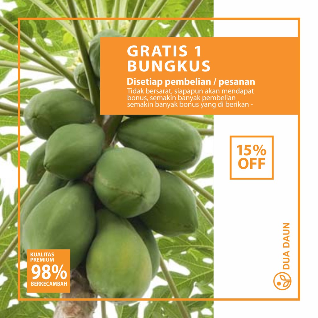 5 Benih Biji Buah Pepaya Bangkok Super
