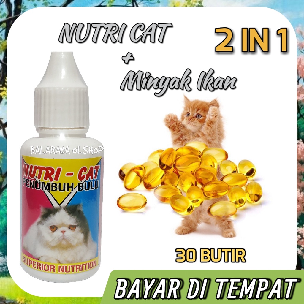 Satu Paket 2 in 1 Vitamin Bulu Kucing Obat Penumbuh Bulu Kucing Rontok Nutri Cat + Minyak Ikan 30 butir