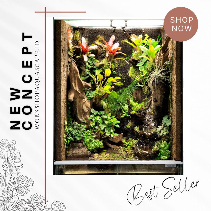 Paludarium Aquascape || Nano Tank 40cm - Best Seller