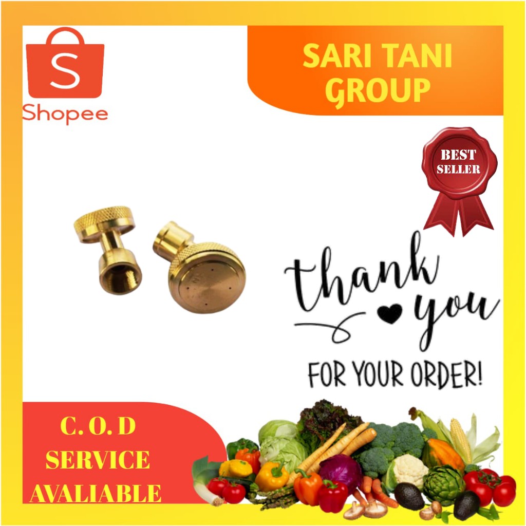 Spuyer Nozzle Tangki Semprot Elektrik Sprayer Lubang 4