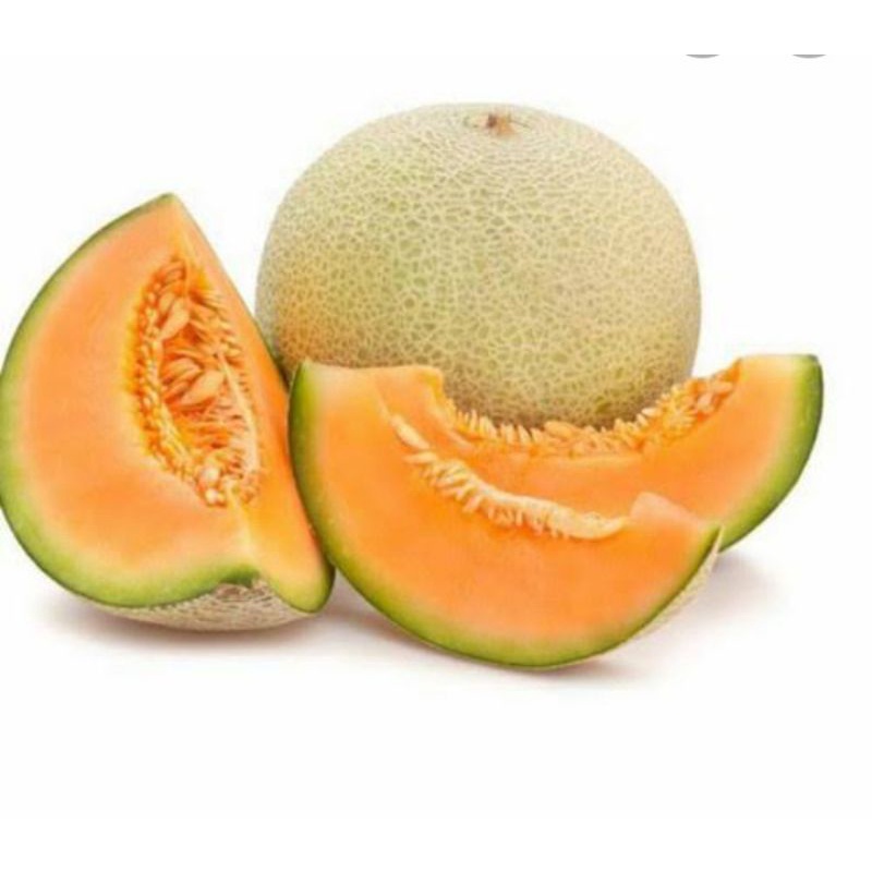 

BUAH MELON ORANGE PER KG SAYUR SEGAR PALEMBANG