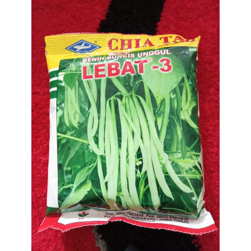 Benih Buncis Lebat 3
