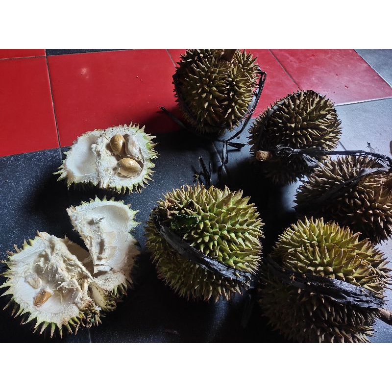 

durian hijau kalibawang