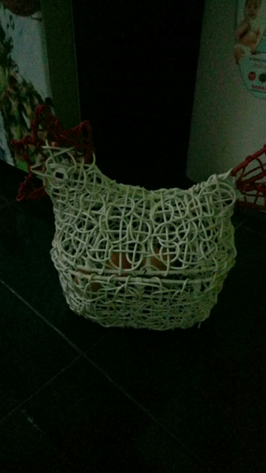 Keranjang Telur Ayam Muat 30 Telur 25x17x30cm/tempat Telor
