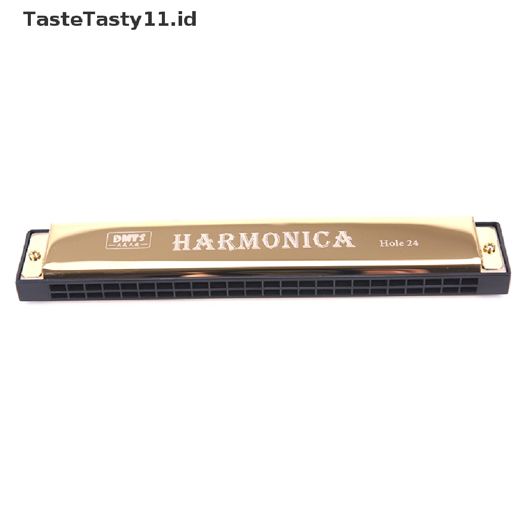 Harmonika Tremolo Kunci C 24 Lubang Baris Ganda