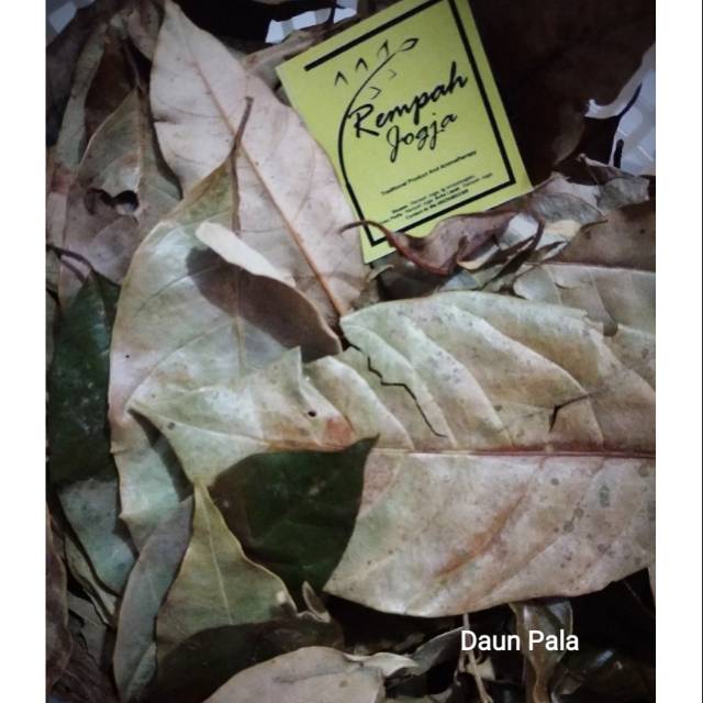 

DAUN PALA KERING | REMPAH HERBAL | REMPAH TRADISIONAL | 100% PRODUK ORIGINAL