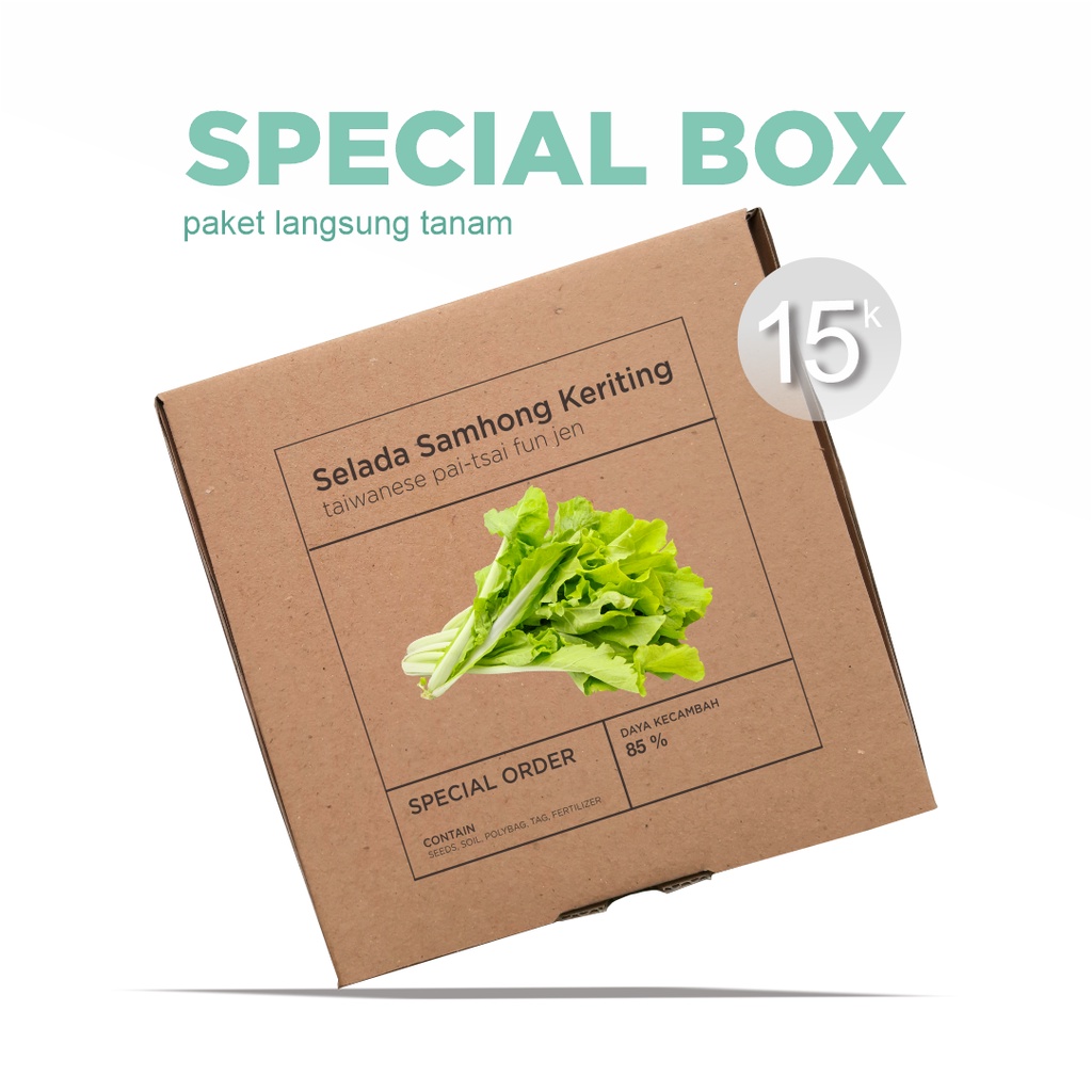 Paket Langsung Tanam - Gardening Kit - SPECIAL BOX - Benih Selada Samhong Keriting Taiwanese Pai-Tsai Fun Jen Seeds