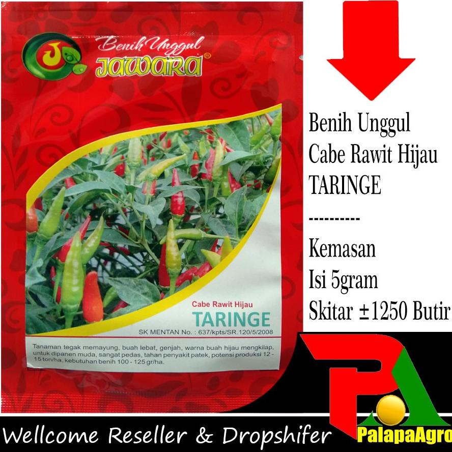 Isi 1250Biji - Bibit Cabe Rawit Hijau Taringe 5Gram - Benih Cabe Rawit Super