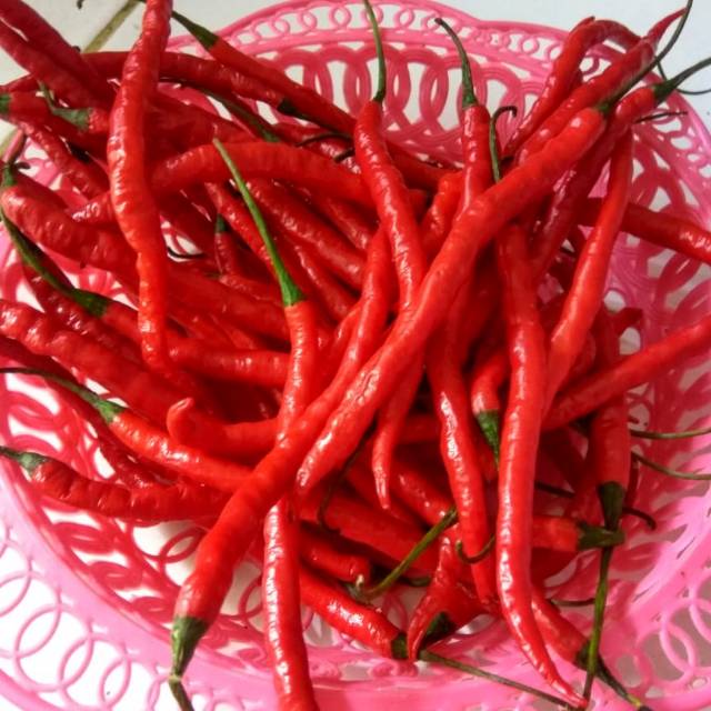 

Cabe Merah Keriting 100 gr