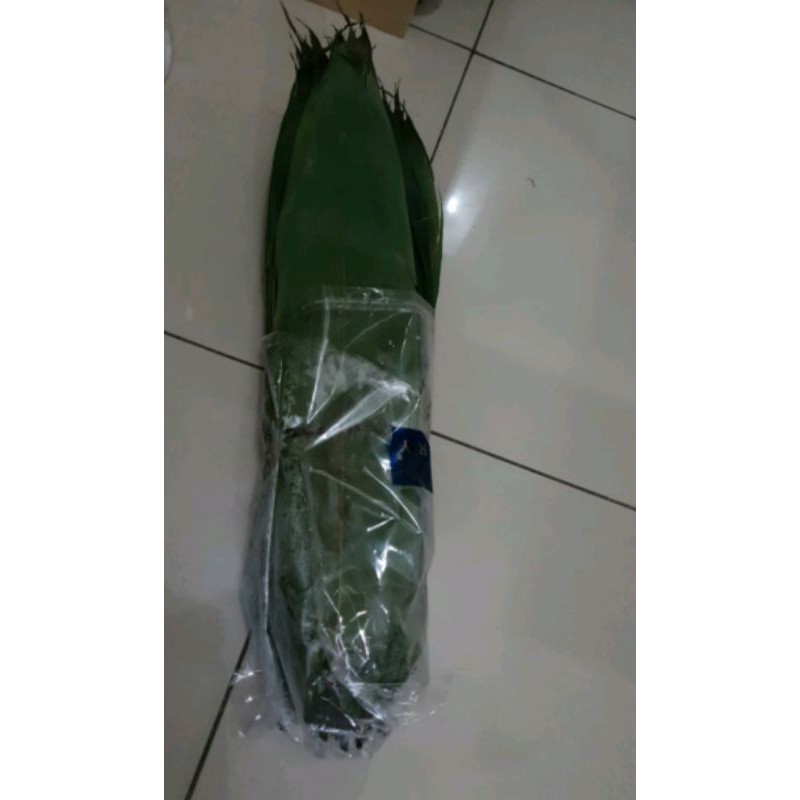 

daun bambu segar langsung petik 50 lembar