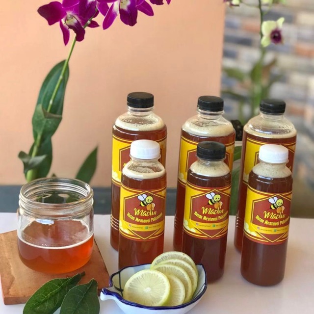 

Madu lebah liar mentawai