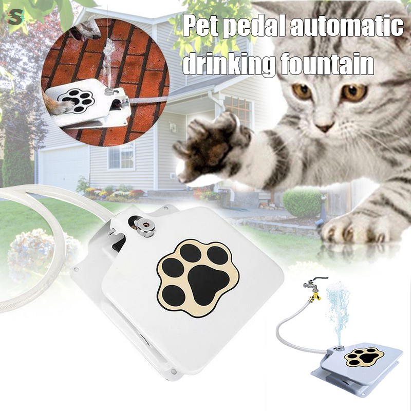 paw activated water fountain