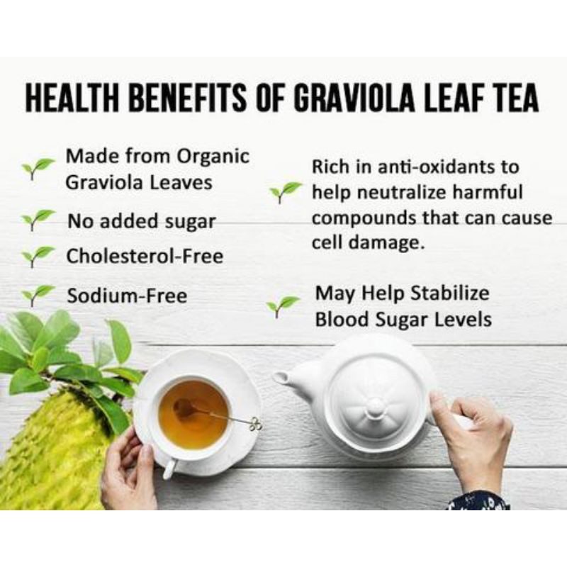 GRAVIOLA LEAF TEA : TEH DAUN SIRSAK UNTUK KISTA, TUMOR &amp; KANKER ISI 30 BAG