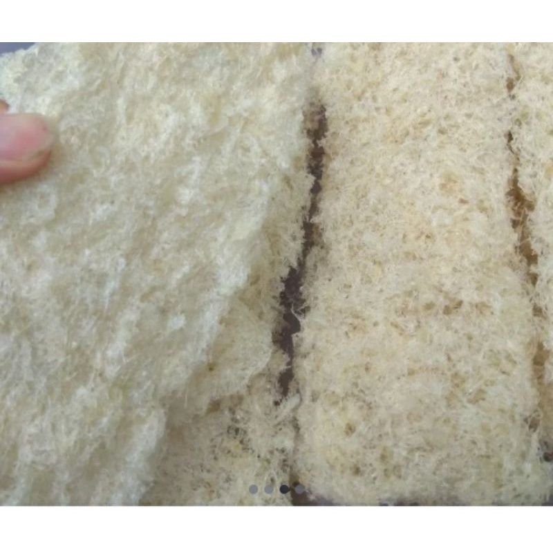 

sarang burung walet hancuran (50gram)