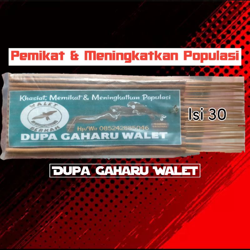 Dupa Gaharu Walet Isi 30