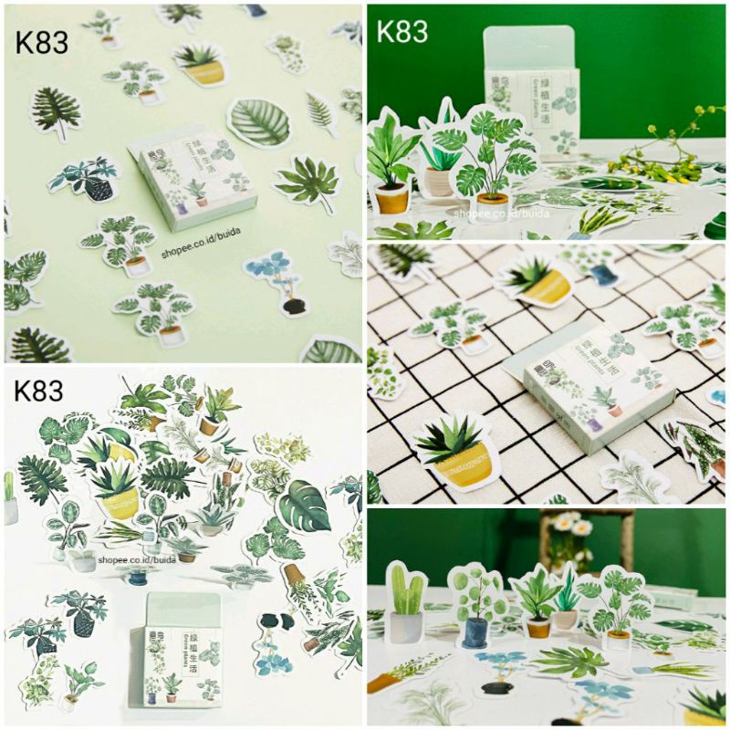 

stiker sticker label tanaman hijau monstera kaktus gantung green plant dekorasi jurnal journal scrapbook pot buku planner