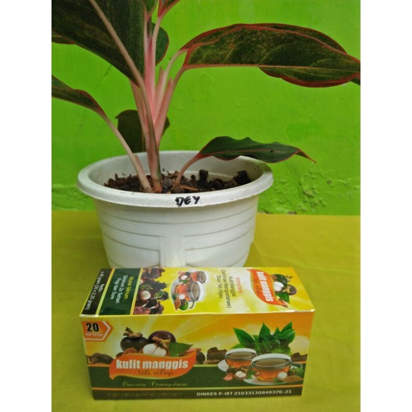 

Teh Celup Herbal Kulit Manggis Premium