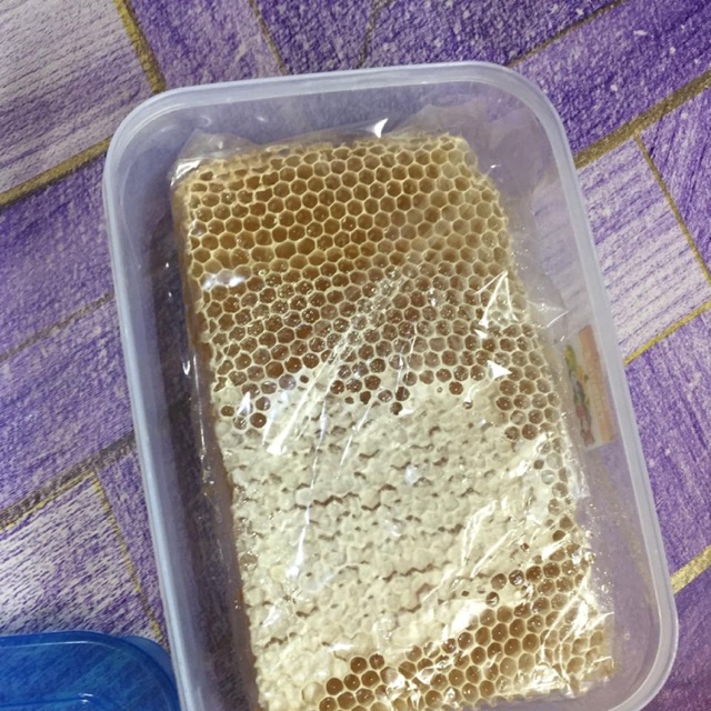 

Sarang madu asli