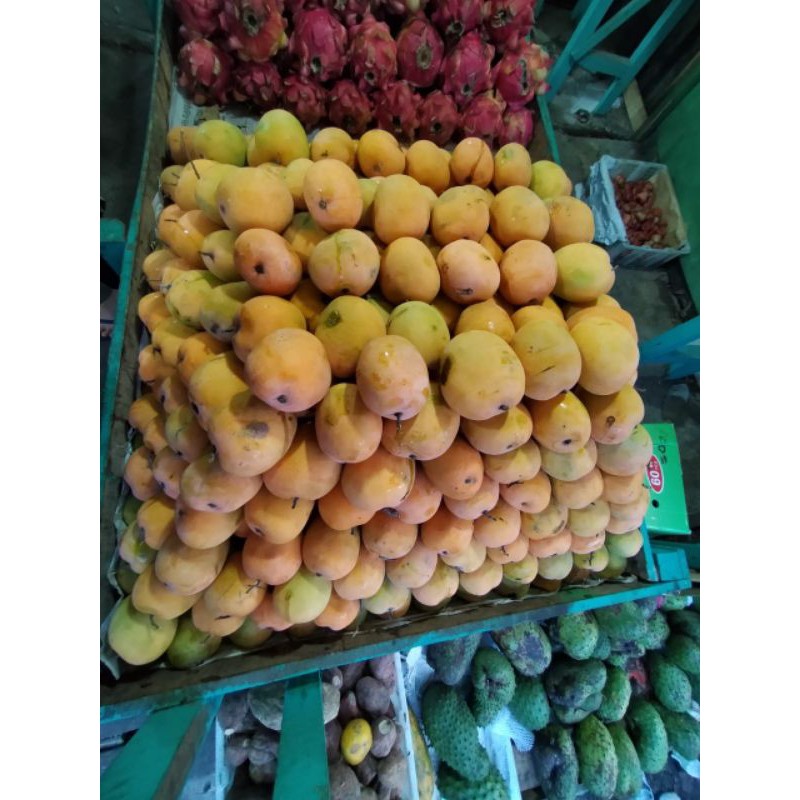 

mangga gedong biasa 1kg|buah segar bandung