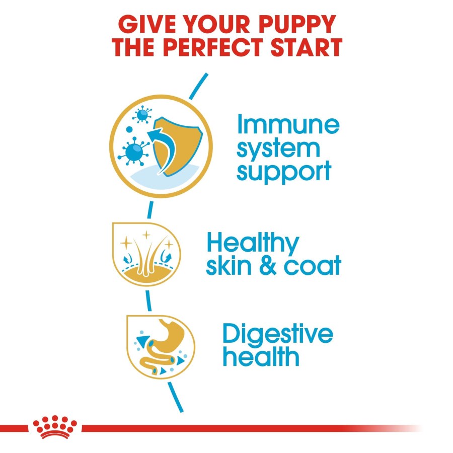 Royal Canin Golden Retriever Puppy Junior Makanan Anak Anjing 3kg 3 kg