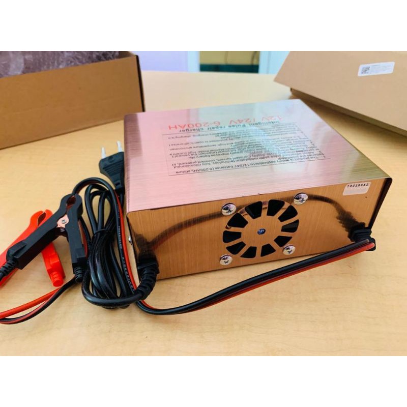 Taffware Charger Aki Mobil Lead Acid Battery 12V/24V 100AH - LD-002S
