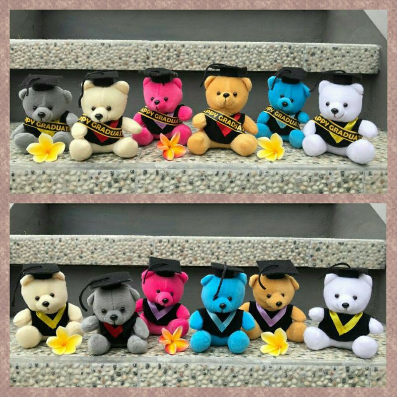 Boneka Wisuda imut /boneka souvernir / boneka mini 15 cm harga produsen / boneka Beruang Mini