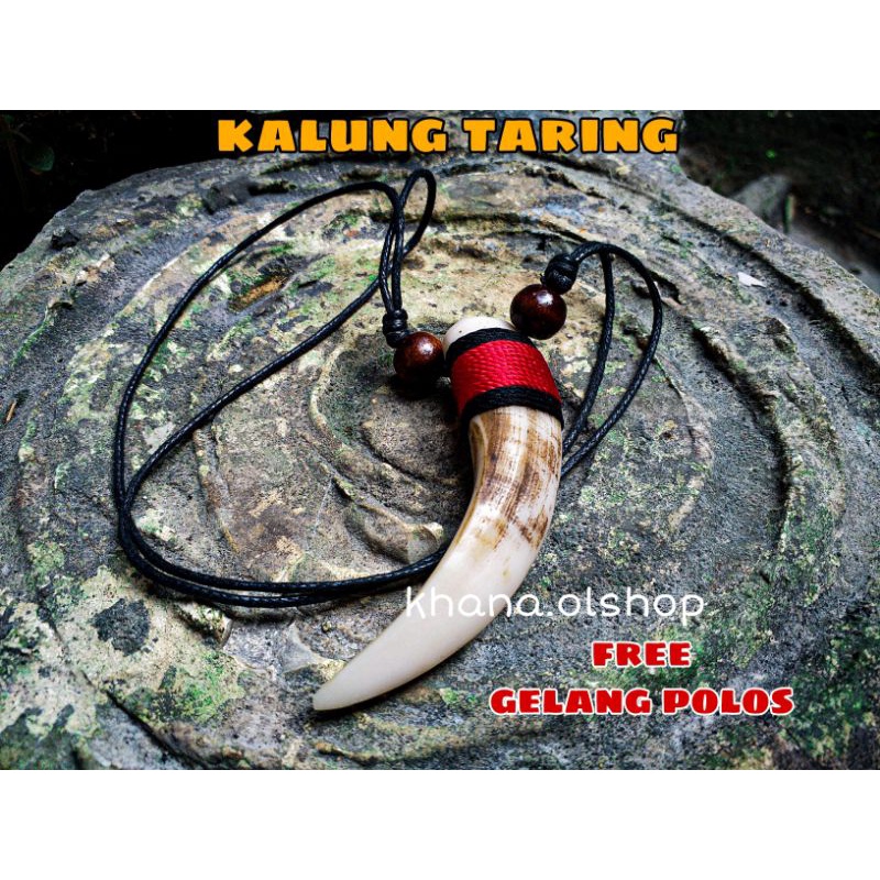Kalung Taring Babi Etnik Dayak