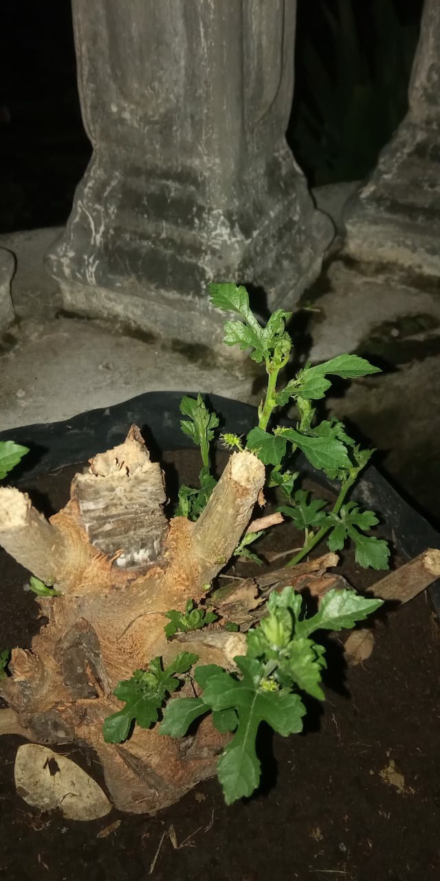 Rak Tas Gantung Mika Tebal  0,20