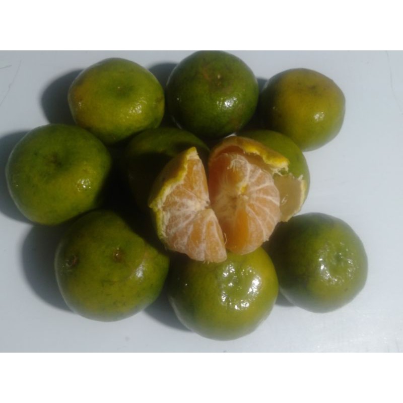 

Jeruk Kintamani Bali grade 12 sd 13 per 1 kg