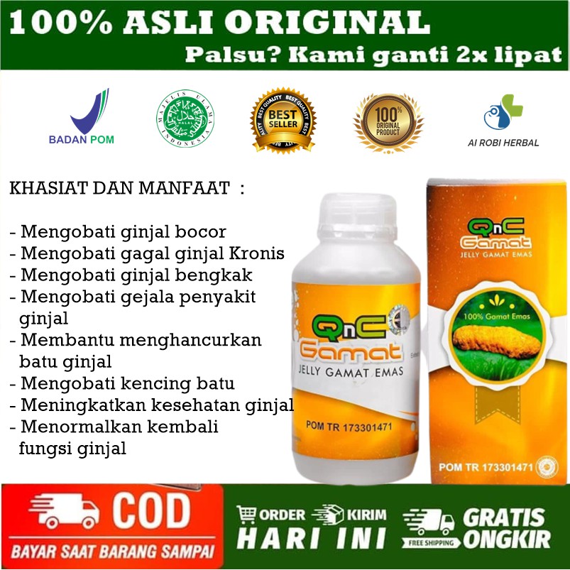 Obat Gagal Ginjal Ginjal Bocor Ginjal Bengkak Batu Ginjal Qnc Jelly Gamat Emas 100 Asli Bpom Indonesia