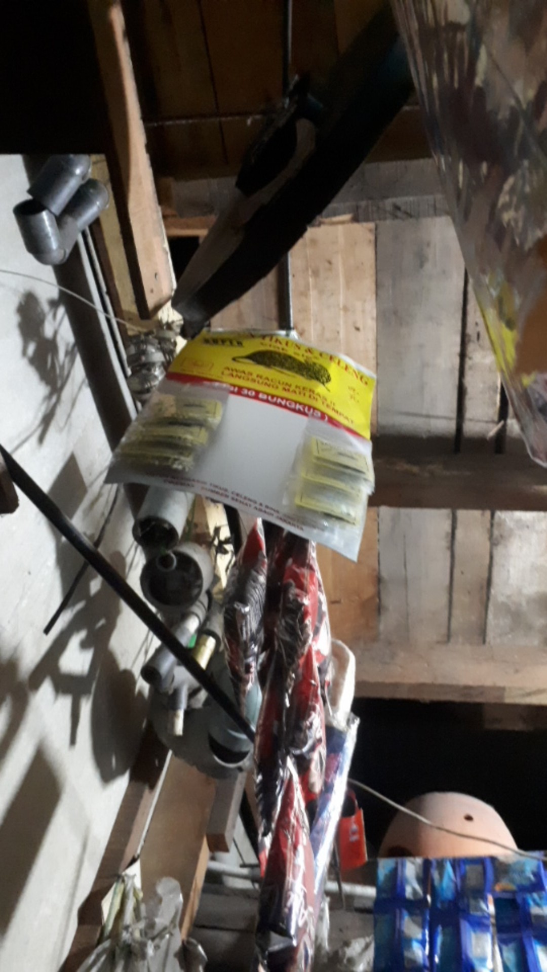 Racun Tikus Celeng Merk Ciaksie Ciak Sie Mati Di Tempat 1 Lembar Isi 30