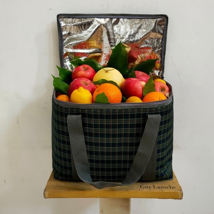 Tas Aluminium Frozen Food Cooler Bag 30 Liter