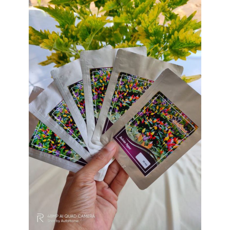 Benih Cabe Rainbow Jenis Bolivian Rainbow