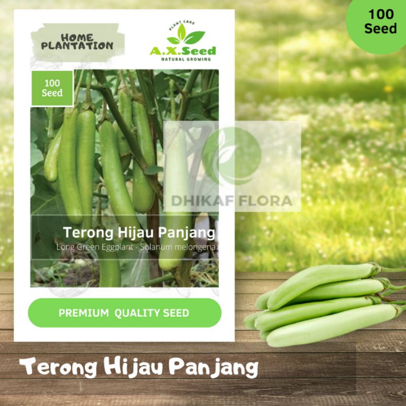 Benih Bibit Terong Hijau Panjang (AX Seed)