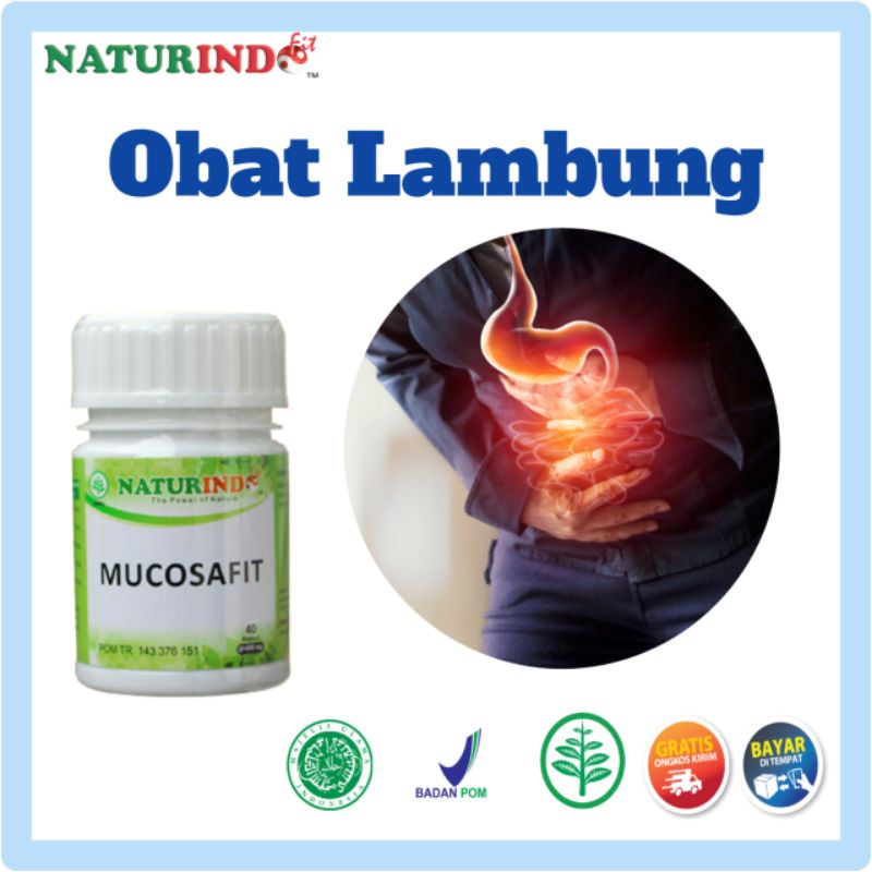 Obat Asam Lambung Kronis Magh herbal paling ampuh