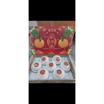 

pear singo gift pack