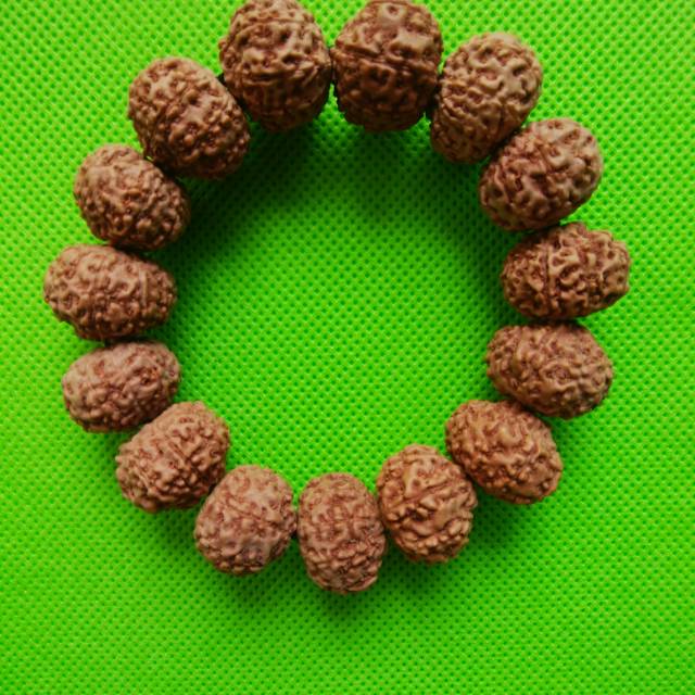 Gelang Jenitri Garis Mukhi 7 Asli