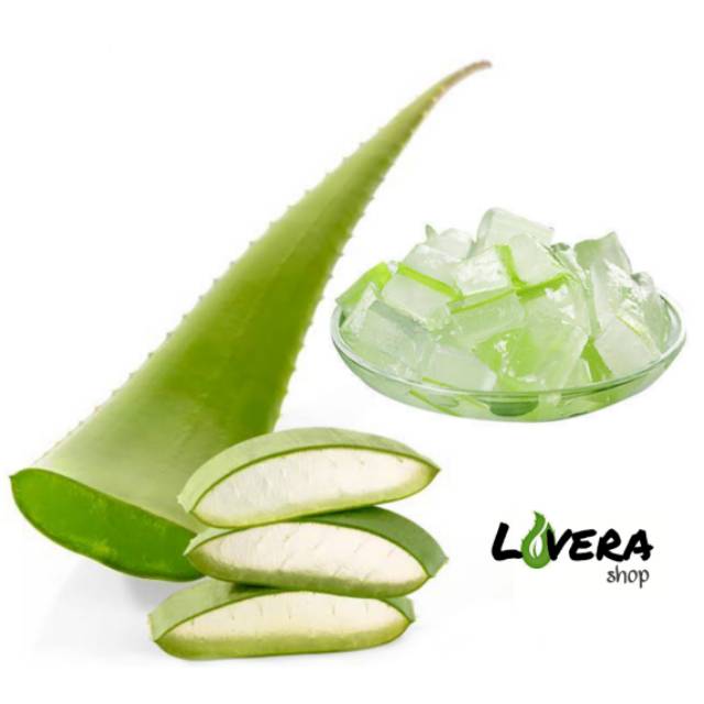 

PAKET 1 kg Pelepah Lidah Buaya. Topping minuman Aloevera