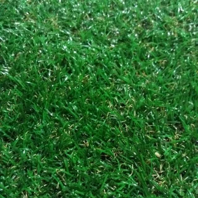 Rumput sintetis jepang