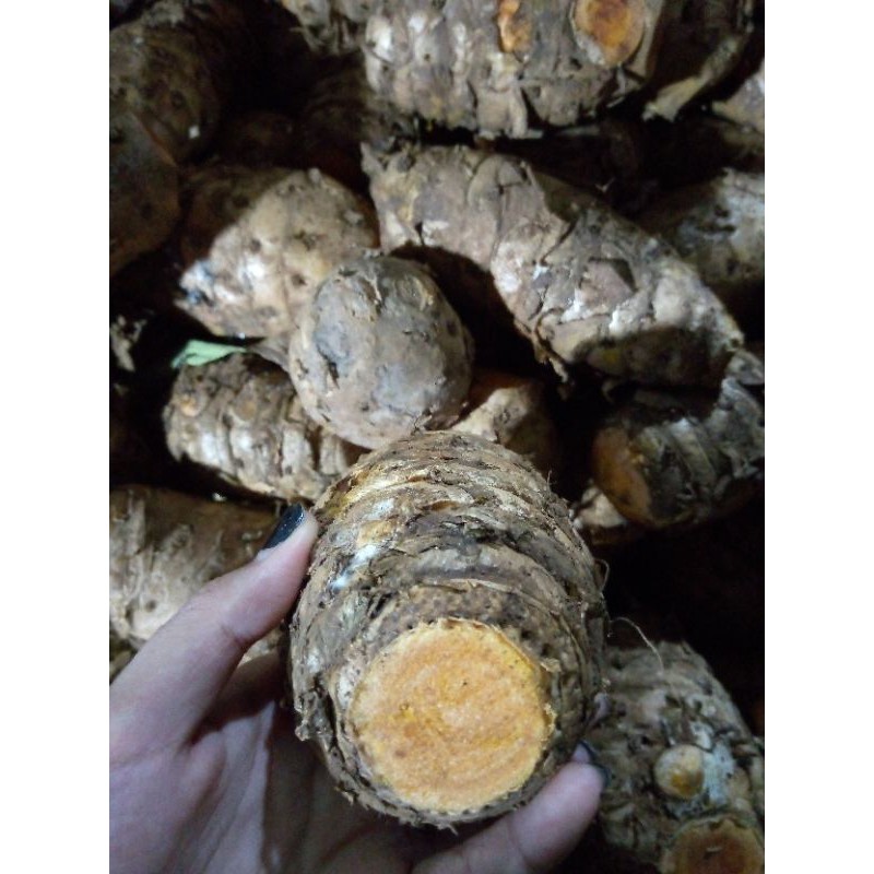 TEMULAWAK SEGAR PILIHAN  1KG
