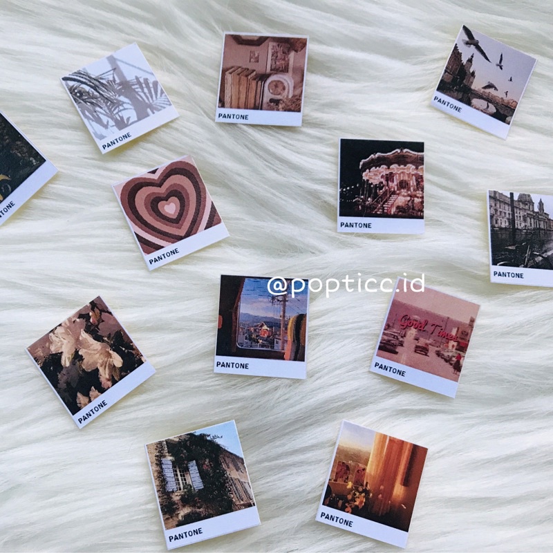 

1 PACK (ISI 5) STICKERS CUT BROWN PANTONE VINTAGE AESTHETIC