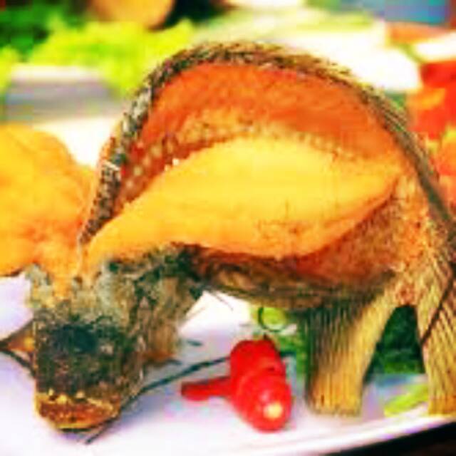 

Aneka SAOS masakan GURAME TERBANG